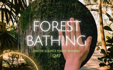 Winter Solstice Forest Bathing