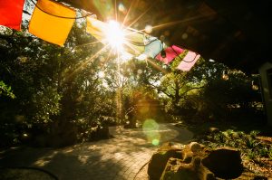 Center Street Exterior with Tibetan Prayer Flags