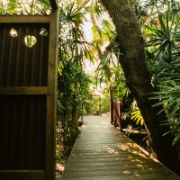 Center Street Exterior featuring wooden walkway and lush tropical plants