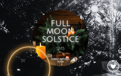 FULL MOON SOLSTICE