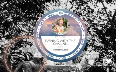 EVENING WITH THE CHANNEL