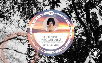 SOFTENING INTO STILLNESS – Mondays