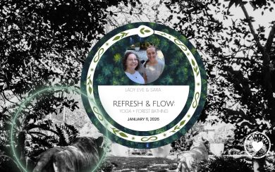 REFRESH & FLOW