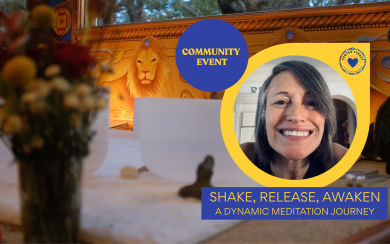 SHAKE, RELEASE, AWAKEN