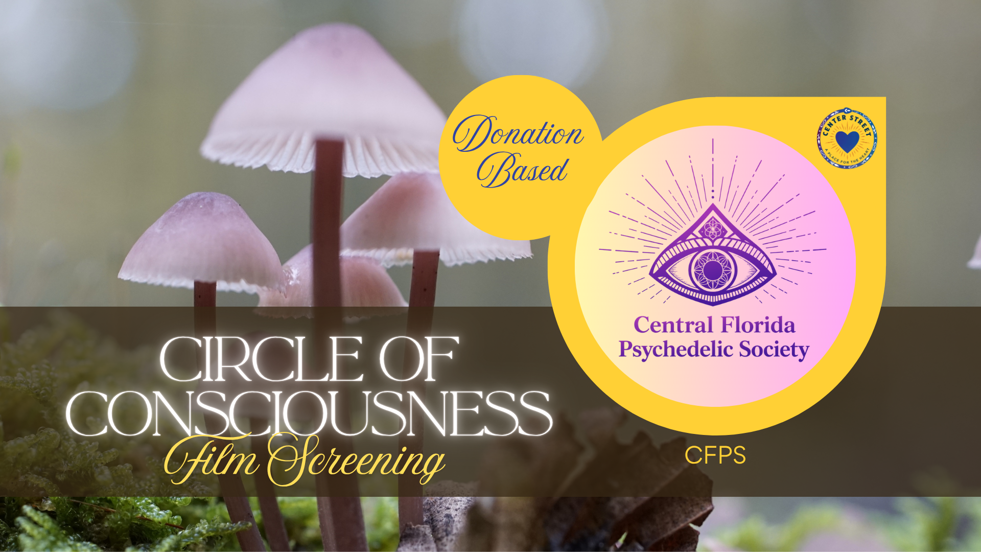 CIRCLE OF CONSCIOUSNESS